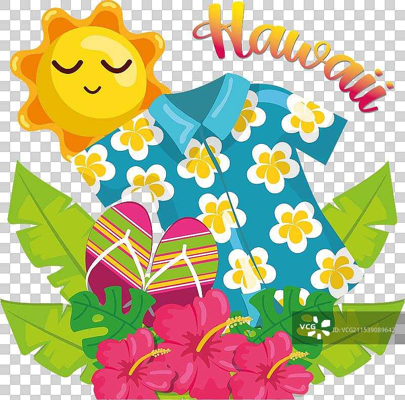 彩色热带夏威夷背景图片素材