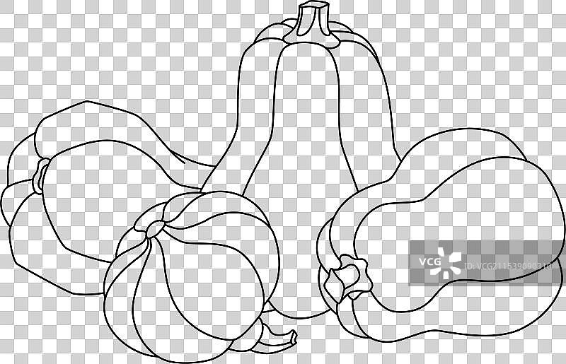 南瓜健康植物食品 - 线条画图片素材