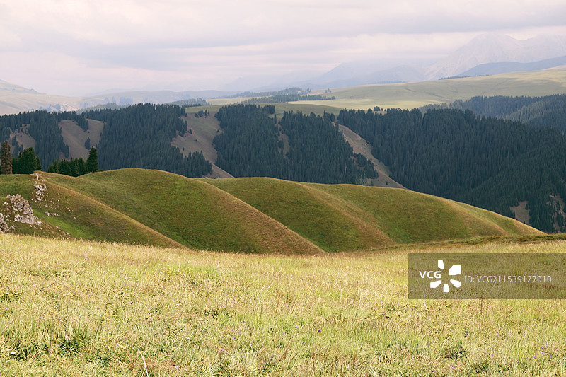 伊犁那拉提国家湿地公园景区图片素材