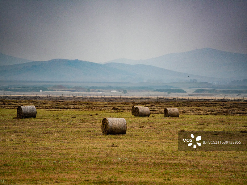 秋天内蒙古锡林郭勒元上都锡林郭勒草原干草卷图片素材