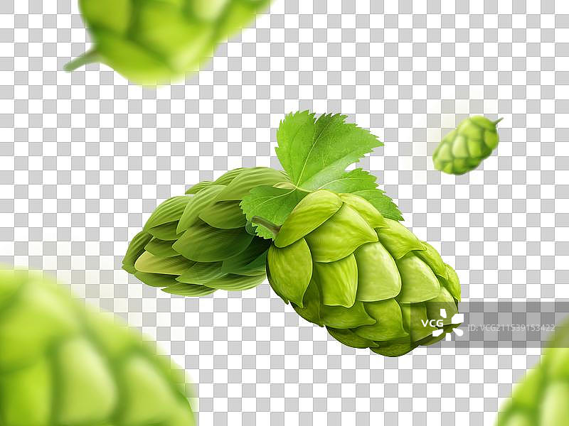 绿色啤酒花花朵元素图片素材