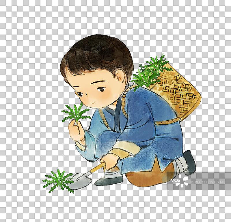 挖荠菜的小男孩图片素材
