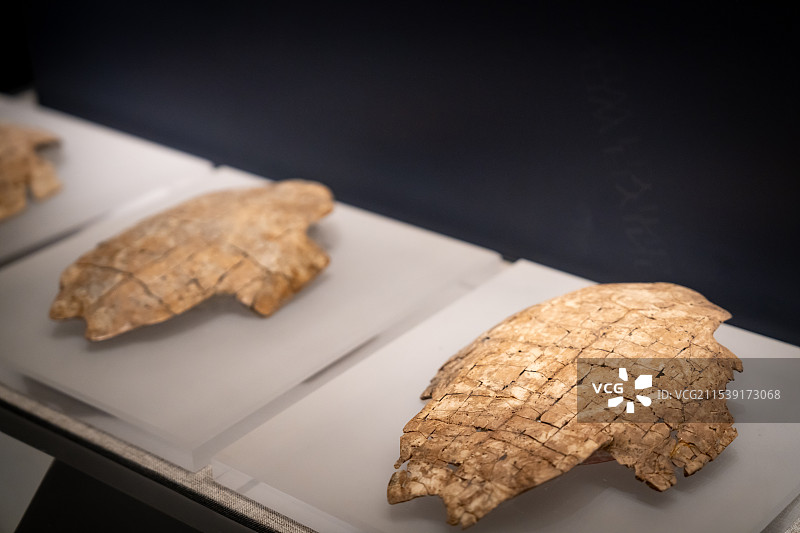 河南博物院刻符龟甲图片素材