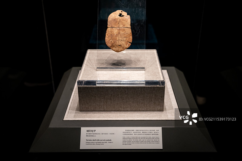 河南博物院刻符龟甲图片素材