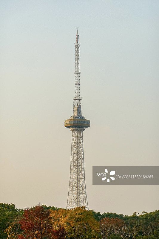 上海青浦电视塔，上海青浦电视台，青浦广播电视发射塔图片素材
