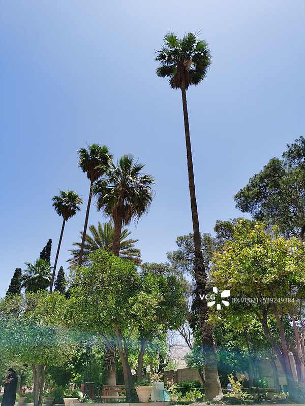 伊朗法尔斯省设拉子市城市建筑街道风景图片素材