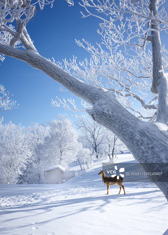 四方顶雪景系列图片素材