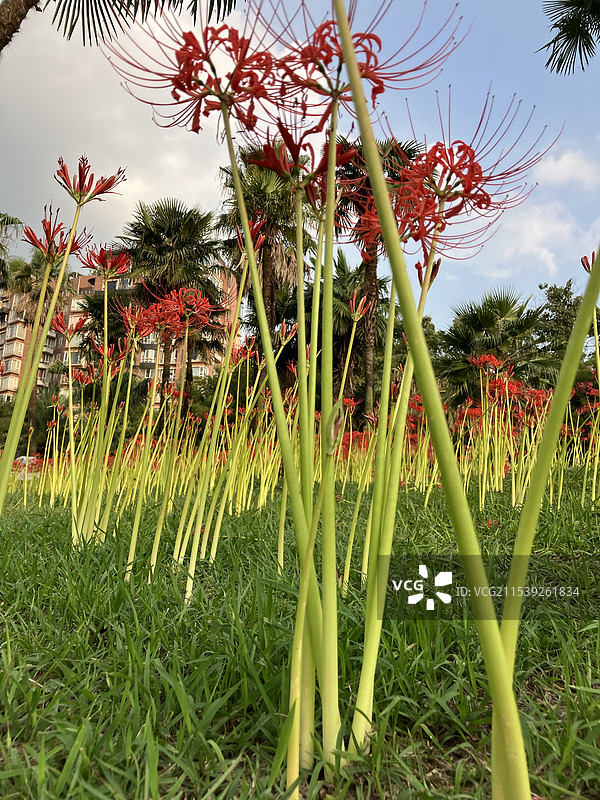 上海植物园图片素材