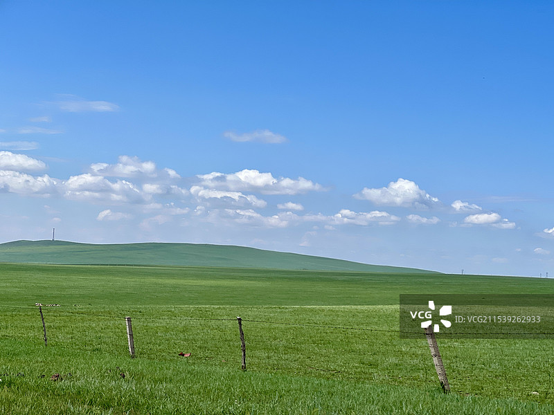 夏季白音库伦牧场图片素材