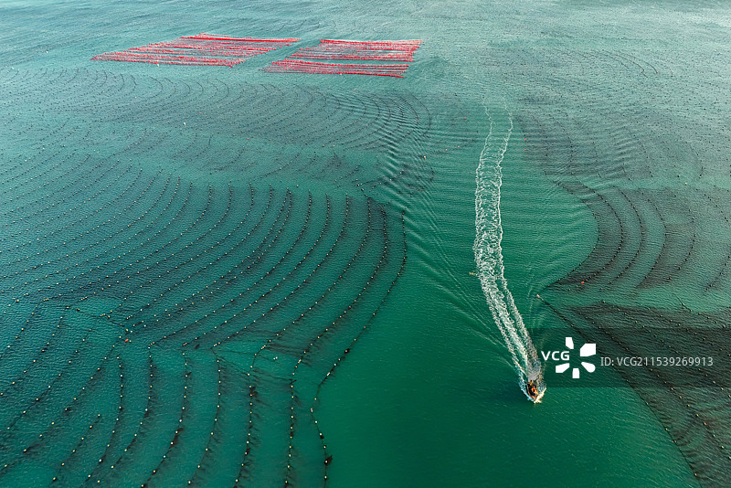 旅顺塔河湾海带海洋牧场图片素材