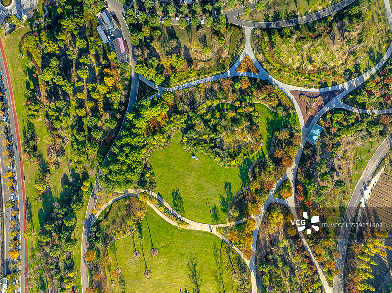 上海之鱼泡泡公园 猫头形状的草坪 芳草路营地 奉贤新城海绵城市生态公园图片素材