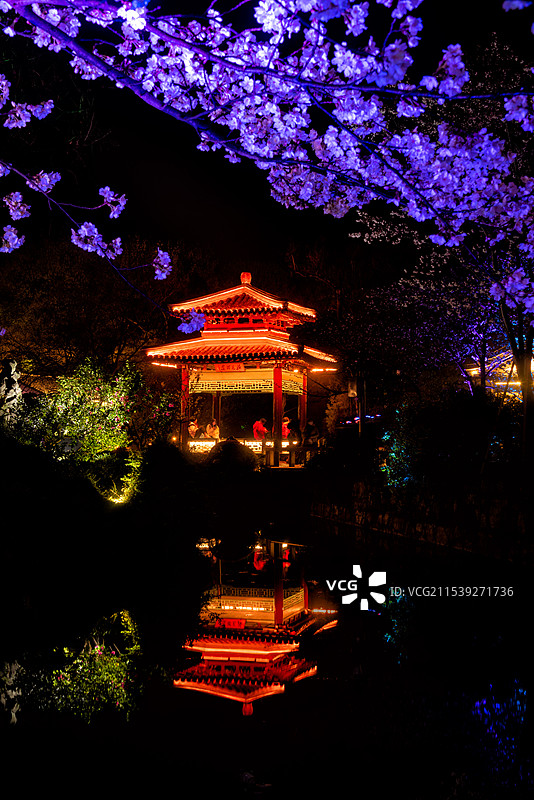 无锡鼋头渚的樱花盛开，夜幕开启华灯初上，夜景中的亭台楼阁赏樱楼和樱花被灯光照亮，充满春天浪漫气息图片素材