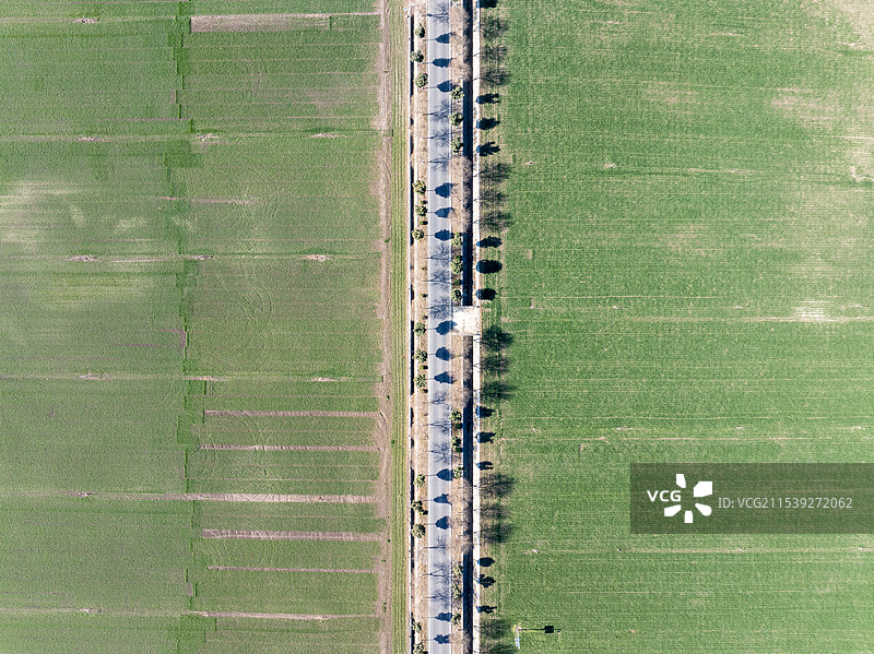 商水高标准农田冬季小麦种植与智能喷灌系统图片素材