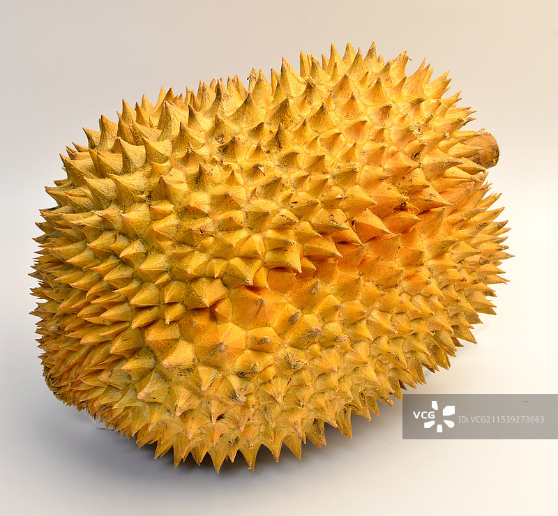 榴莲图片素材