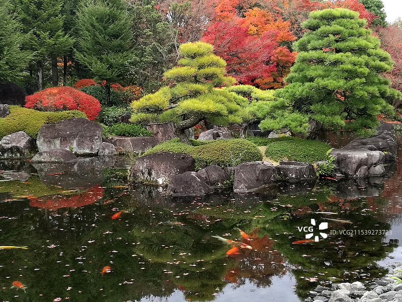 日本大阪姬路好古园图片素材