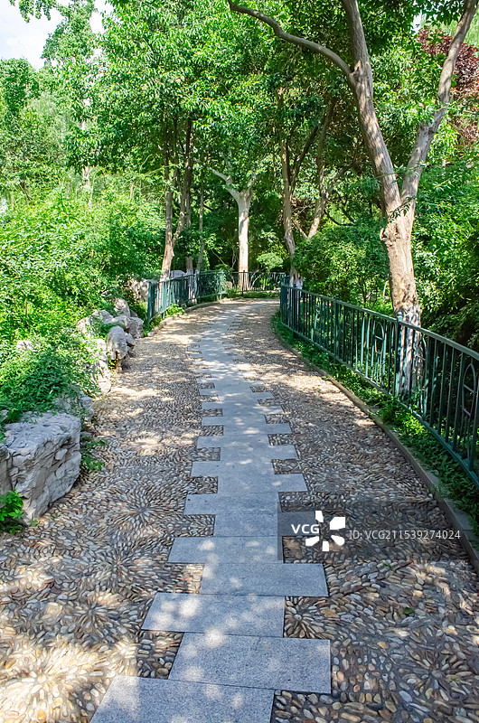中国5A级旅游景区拍摄主题，山东济南趵突泉公园园林，五龙潭公园鹅卵石小路，户外白昼无人图像摄影图片素材