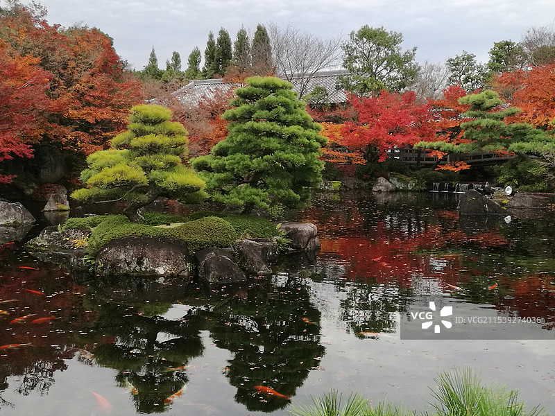 日本大阪姬路好古园图片素材