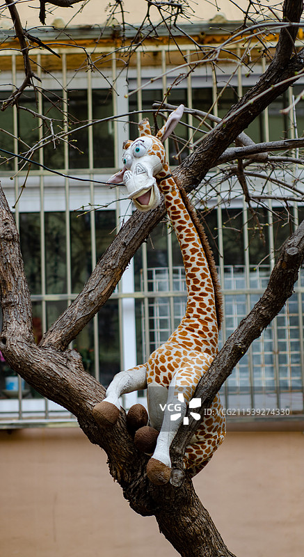 挂在树上的长颈鹿玩具图片素材