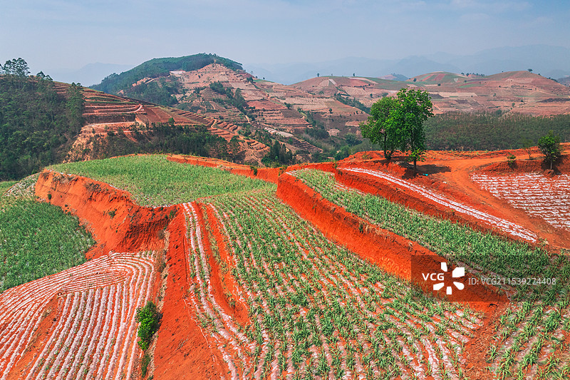 云南普洱澜沧县上允镇红土地梯田风光图片素材