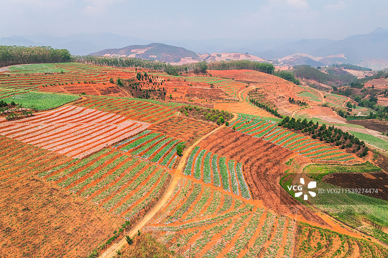 云南普洱澜沧县上允镇红土地梯田风光图片素材