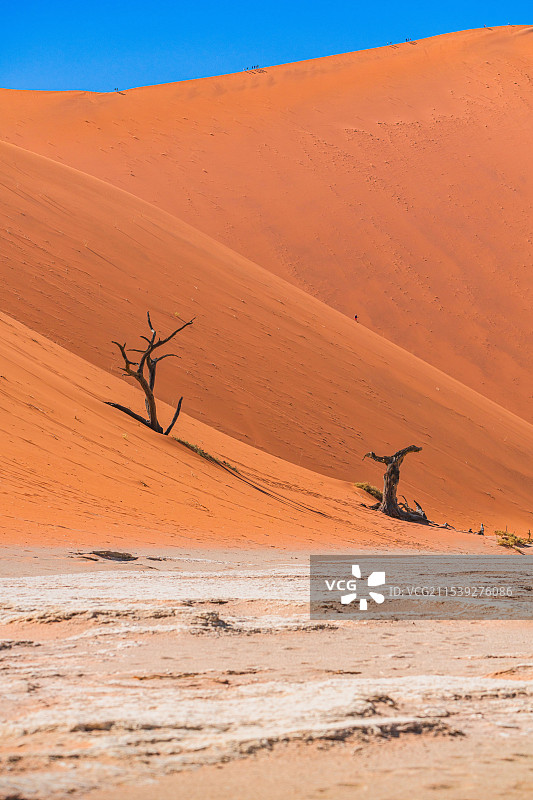 非洲纳米比亚死亡谷图片素材
