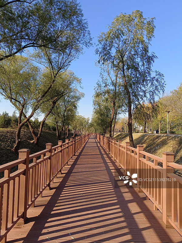 公园里的木栈道图片素材