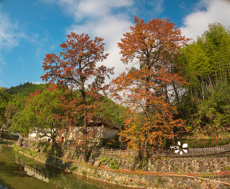 浙江省景宁畲族自治县雁溪乡雁溪村风光图片素材