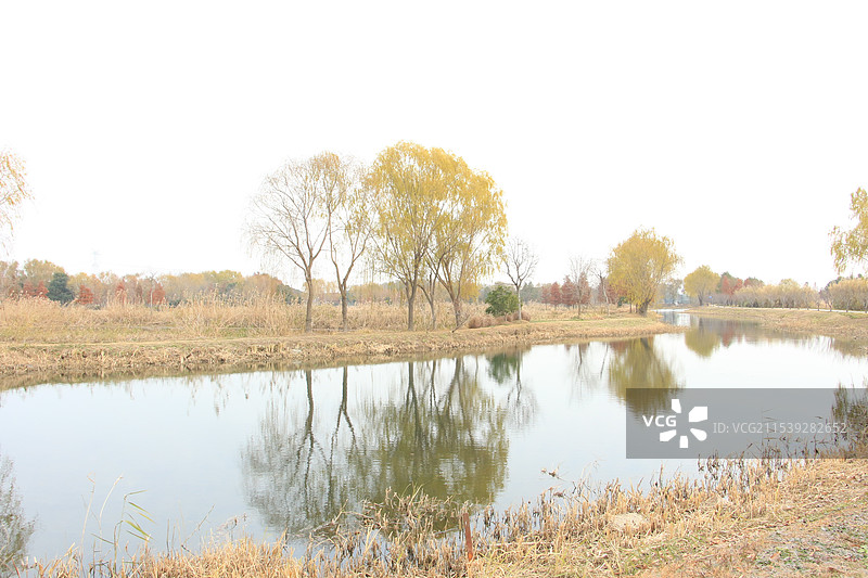 上海青西郊野公园图片素材