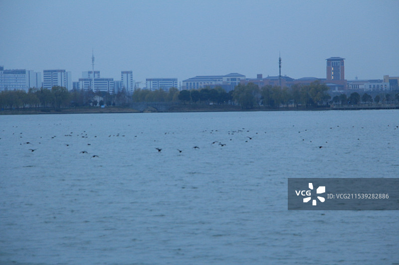 上海青西郊野公园大莲湖蓝调时分图片素材