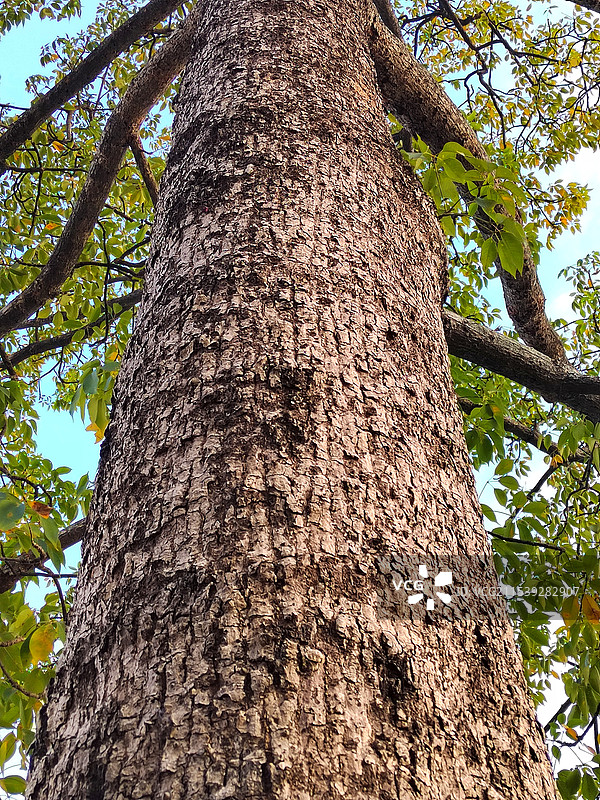 看岁月流转图片素材