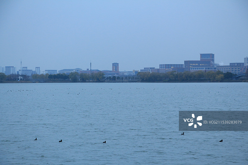 上海青西郊野公园大莲湖蓝调时分图片素材