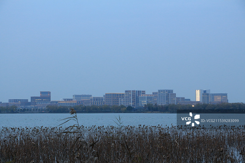 上海青西郊野公园大莲湖蓝调时分图片素材