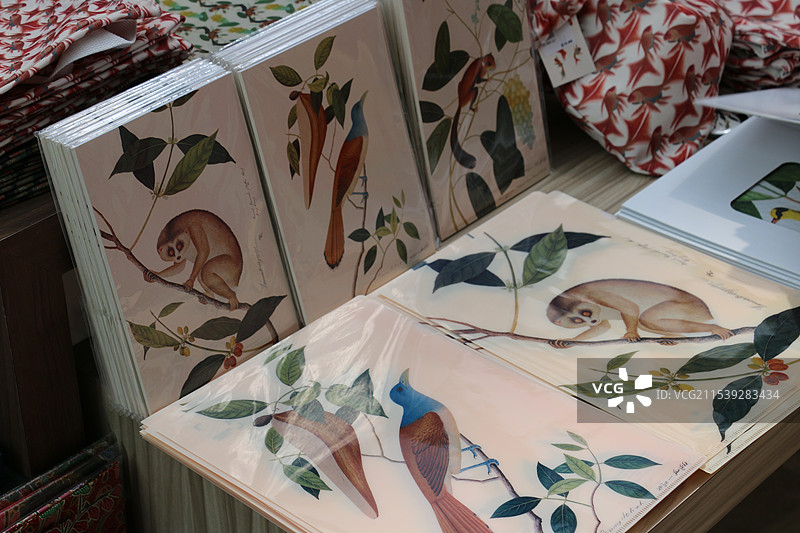 新加坡国家博物馆、美术馆特写图片素材