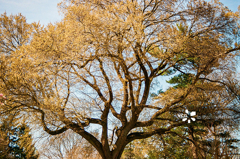 美国马萨诸塞州波士顿春季景色图片素材