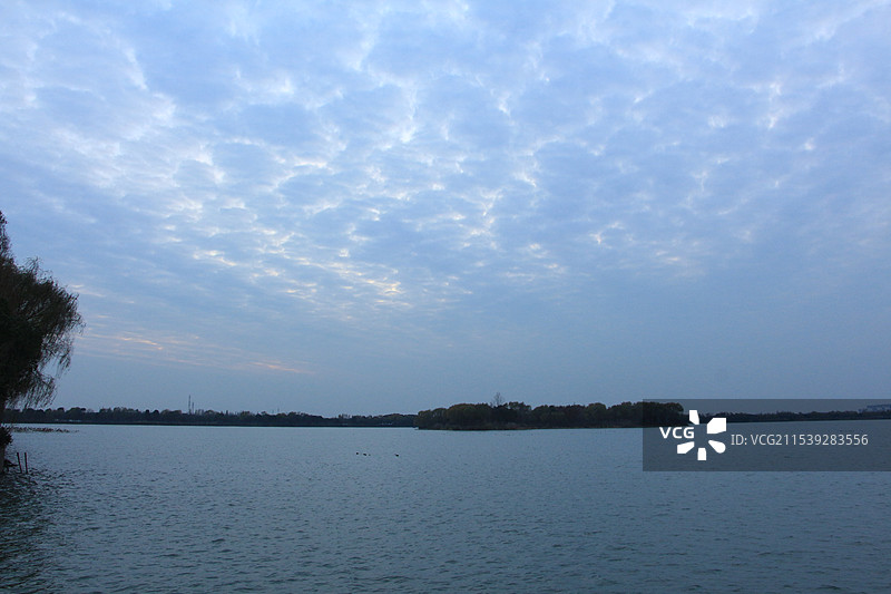 上海青西郊野公园大莲湖蓝调时分图片素材