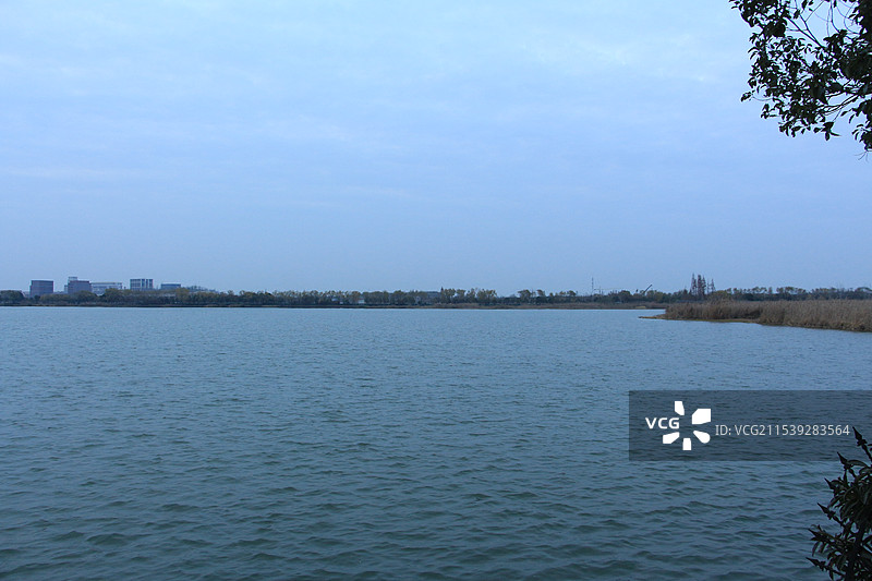 上海青西郊野公园大莲湖蓝调时分图片素材