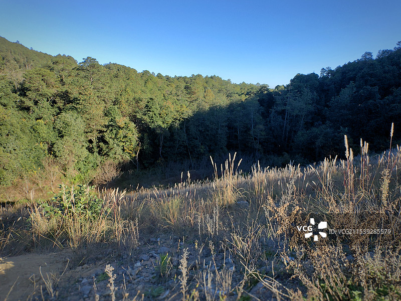 楚雄紫溪山光影图片素材