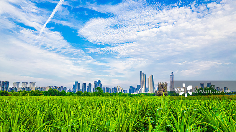 航拍南京·初夏图片素材