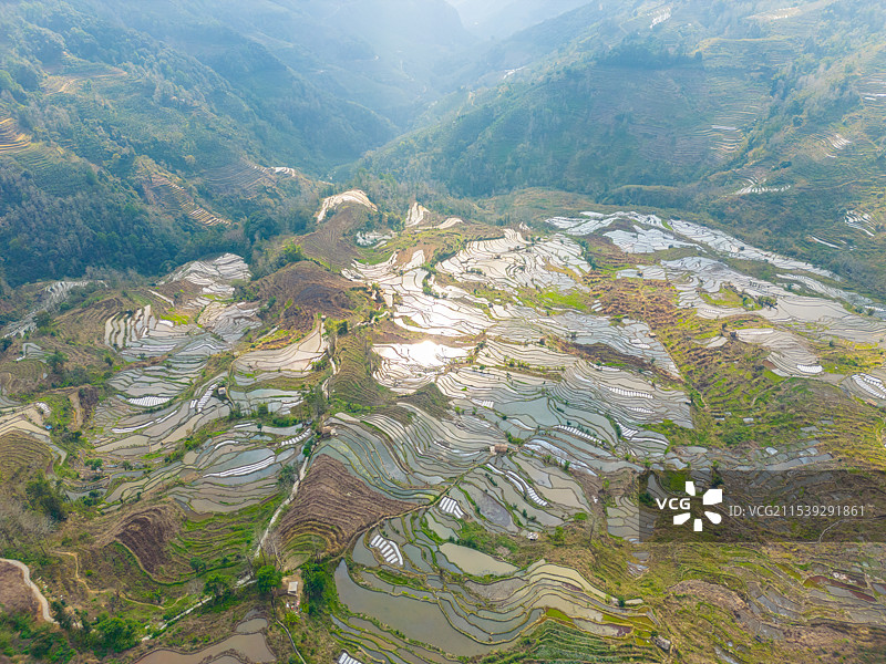 航拍层层叠叠的稻田图片素材