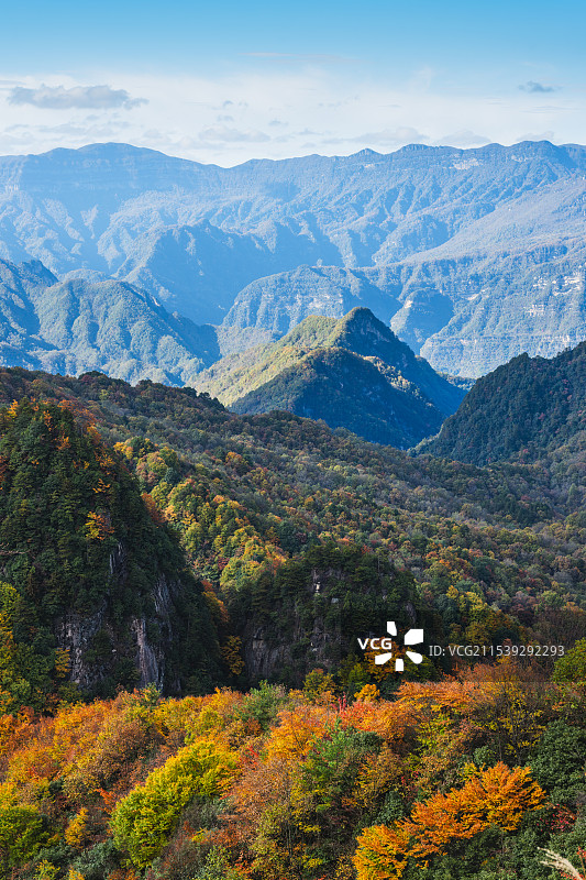 中国四川巴中光雾山景区，从光雾山镇到十八月潭065乡道周边的彩林和红叶图片素材