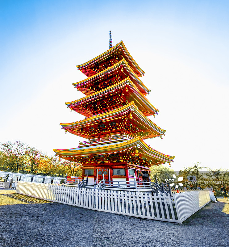 武汉东湖樱花园的日出图片素材