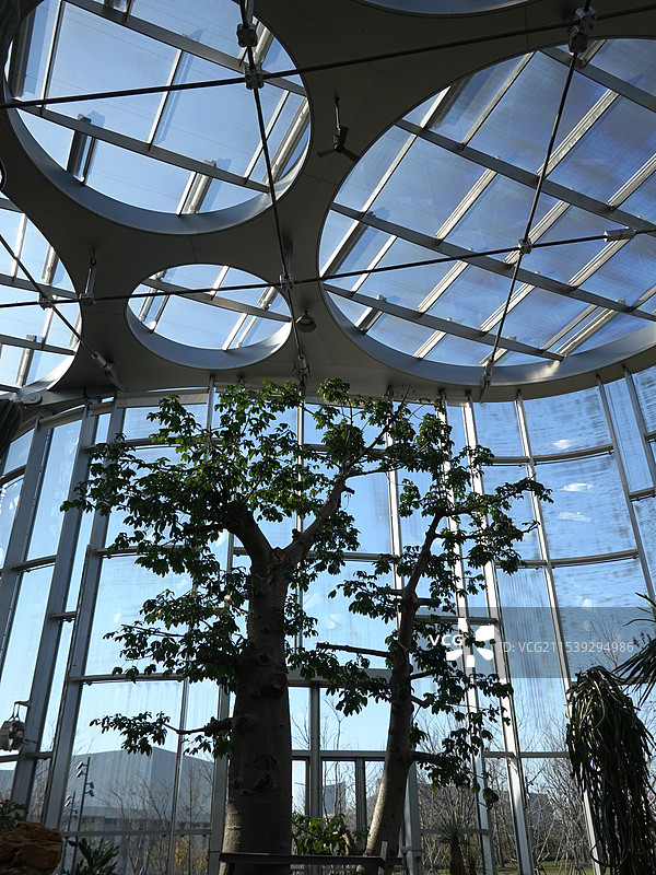 城市花园图片素材