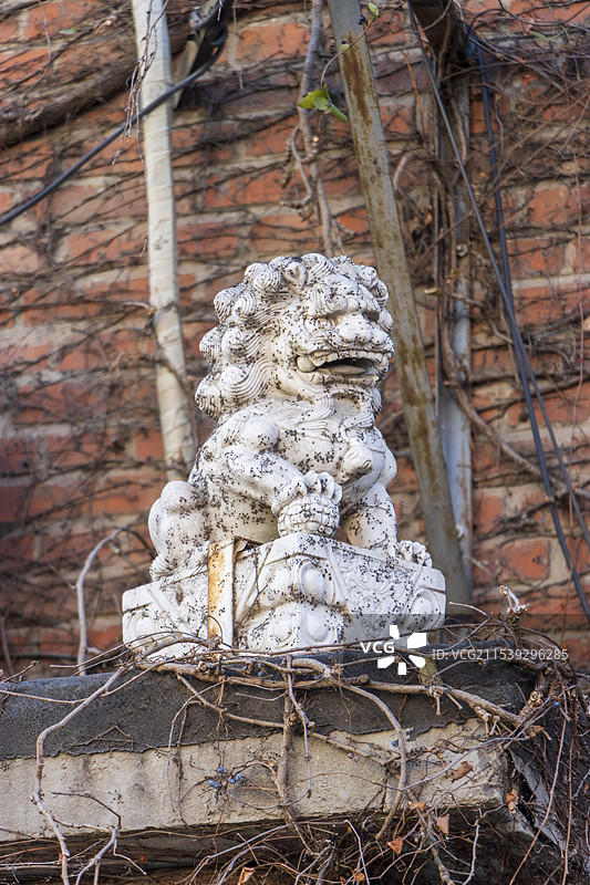 藤蔓上的白色狮子雕像图片素材