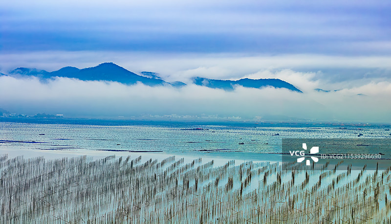 福建霞浦 S 弯——梦幻滩涂的水墨画卷（航拍 ）图片素材