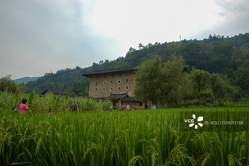 福建南靖土楼群图片素材