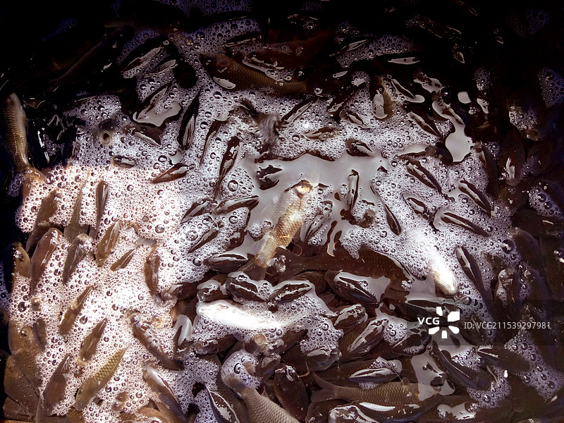 人文摄影作品图片素材