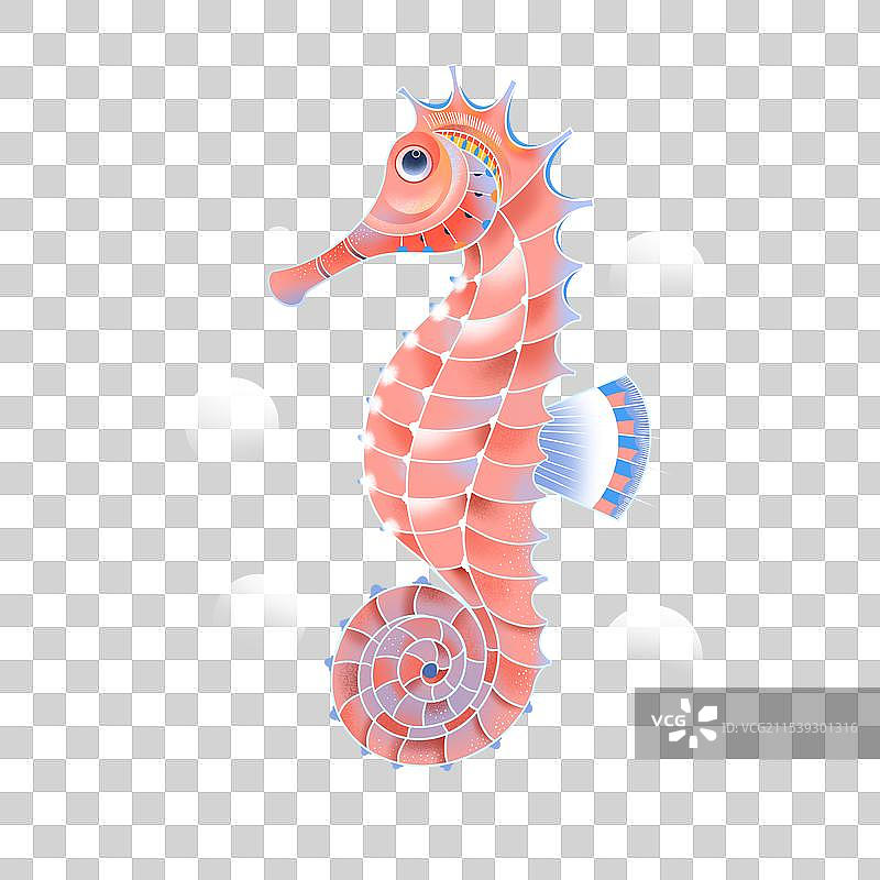 国潮风海洋生物海马免抠图插画图片素材