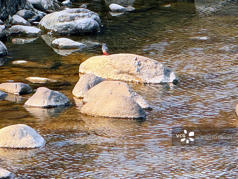 《清流鸟影》图片素材