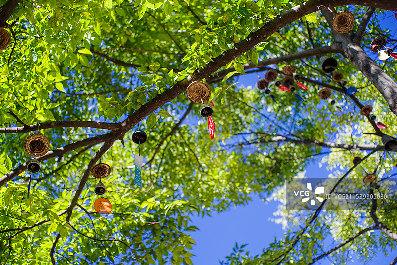 云南美丽风光图片素材