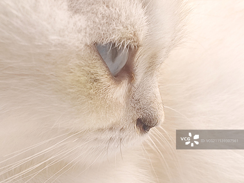 你的眼神图片素材